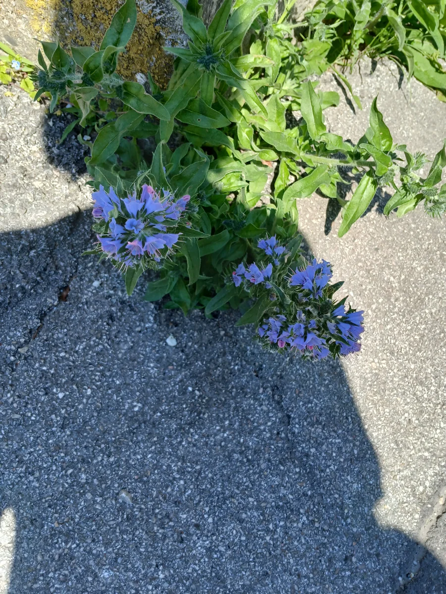 20250513_120704.webp