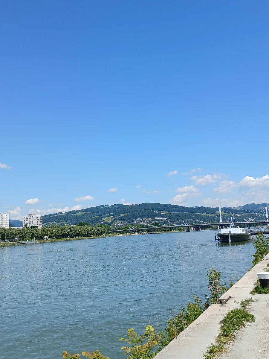 20250531_121815.webp