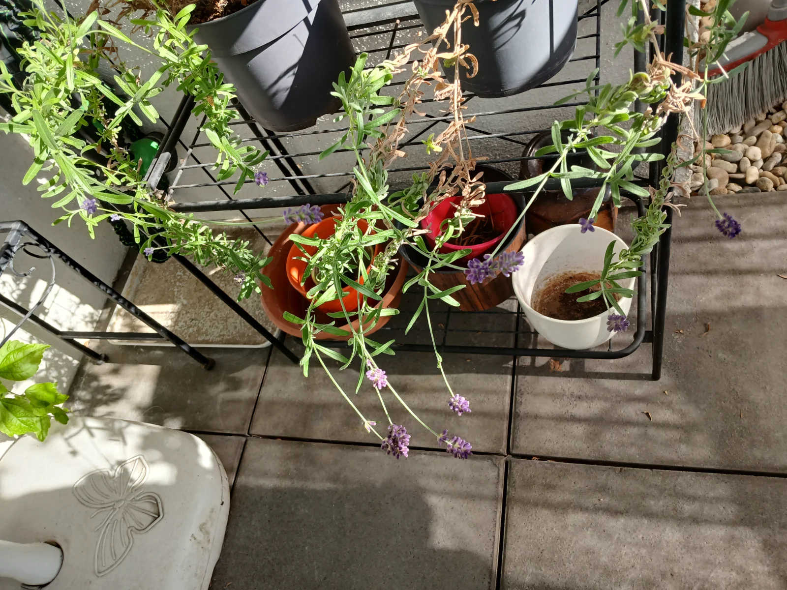 20250531_174125.webp