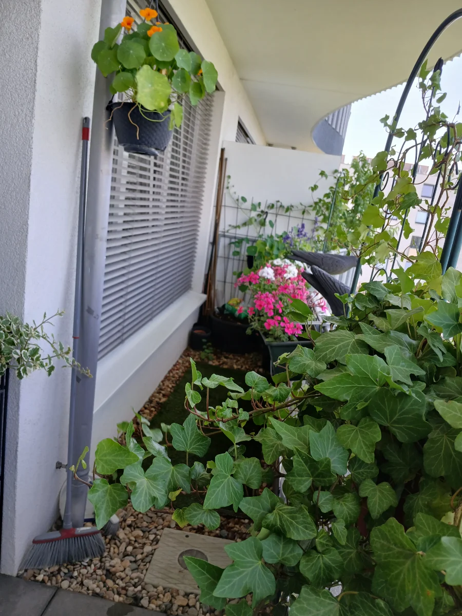 20250626_121647.webp