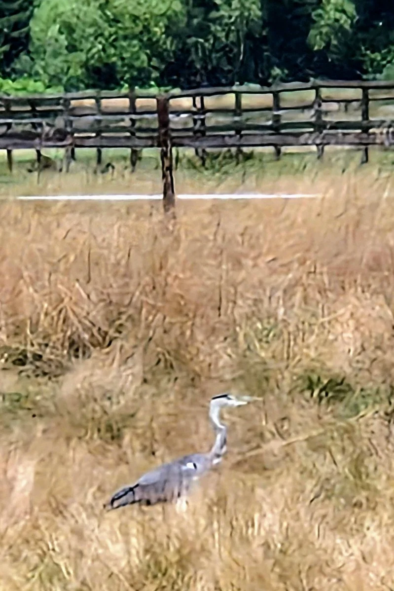 20250803_131526~2.webp