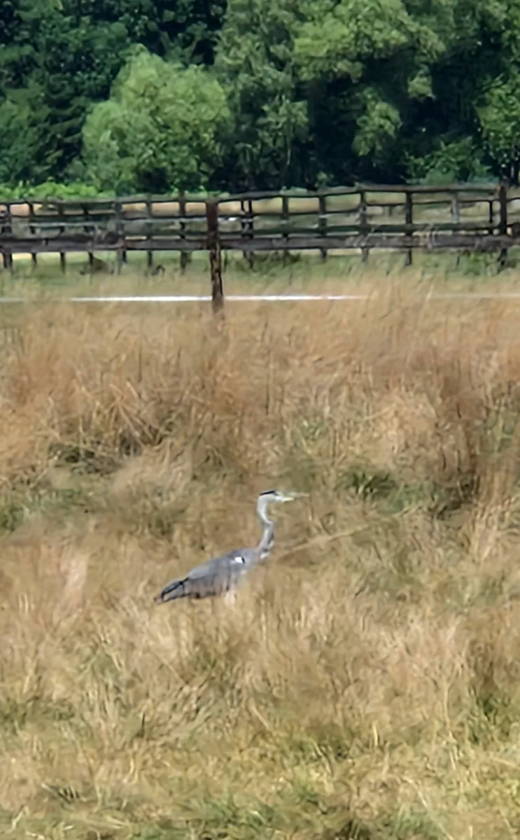 20250803_131526.webp