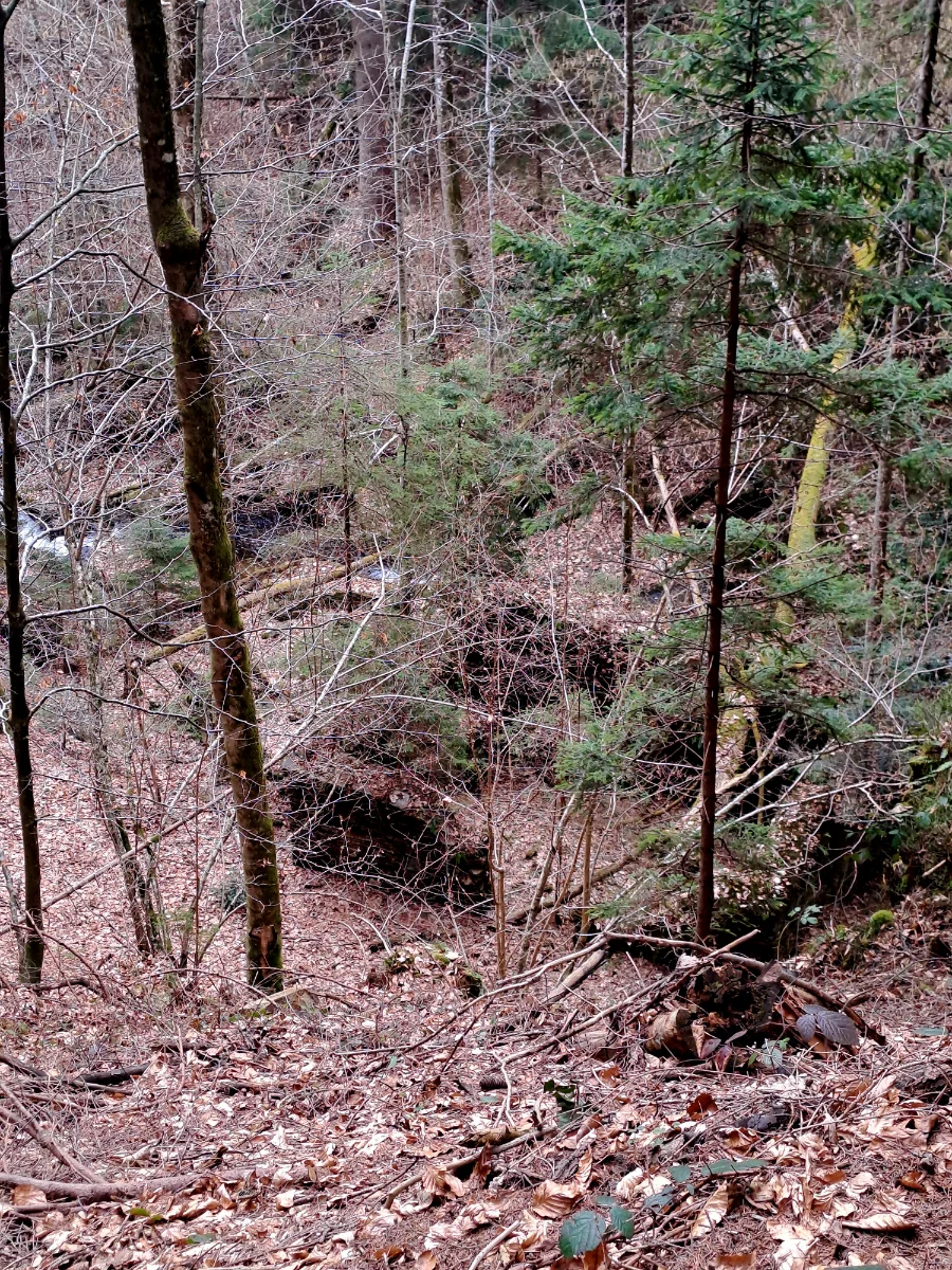20260314_134346.webp