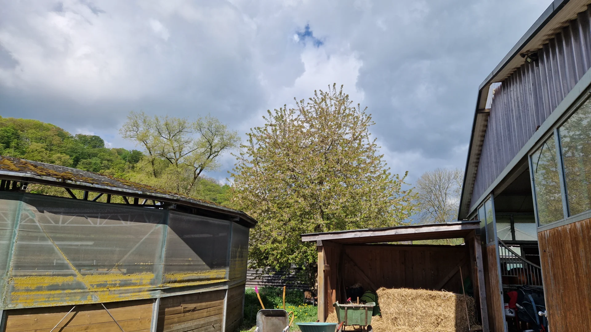 20260419_110039.webp