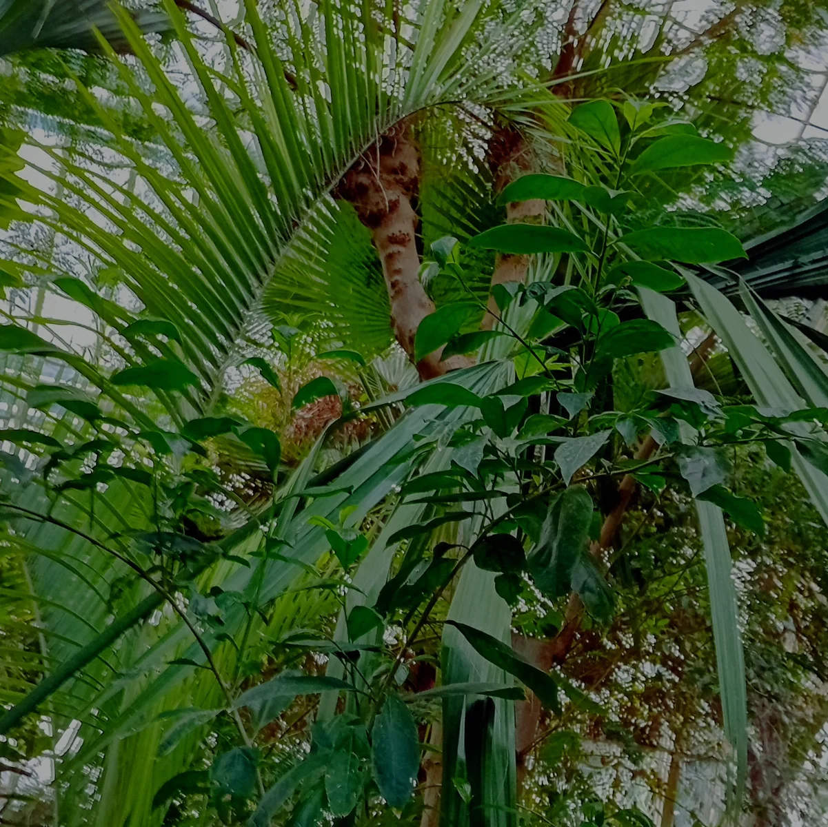 20260420_145639~2.webp