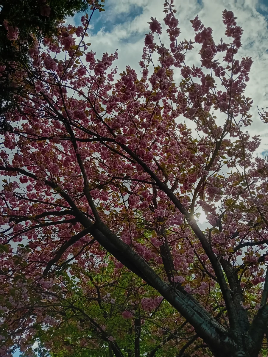 20260420_153606.webp