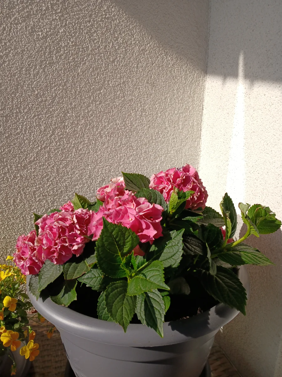 20260509_171738.webp