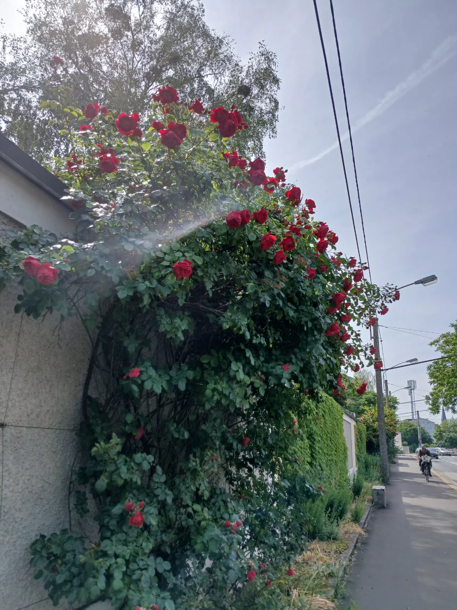 20260602_102947.webp