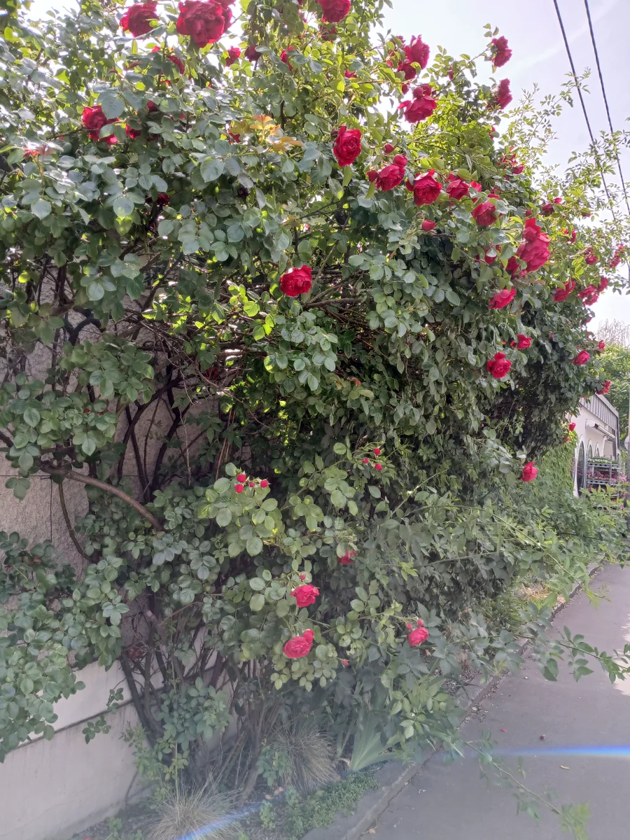 20260602_103032.webp