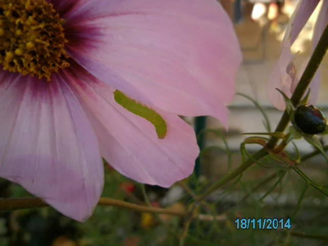 21.11 012.JPG