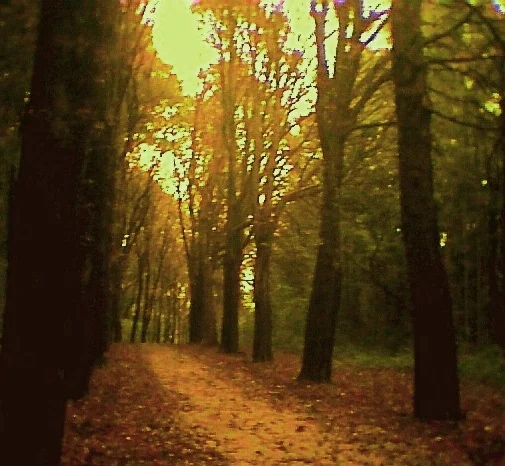 23.Okt.2005 (So.)007.jpg