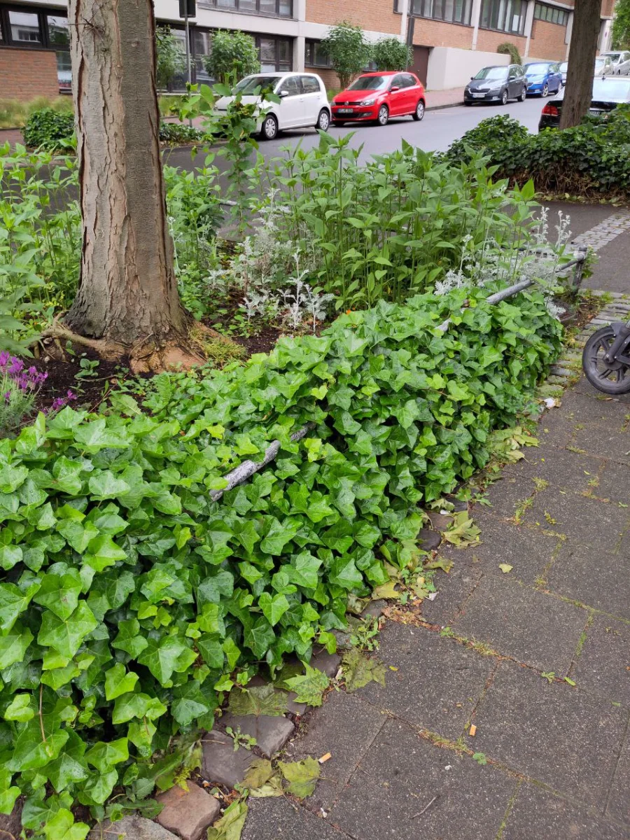 25052025-01.webp