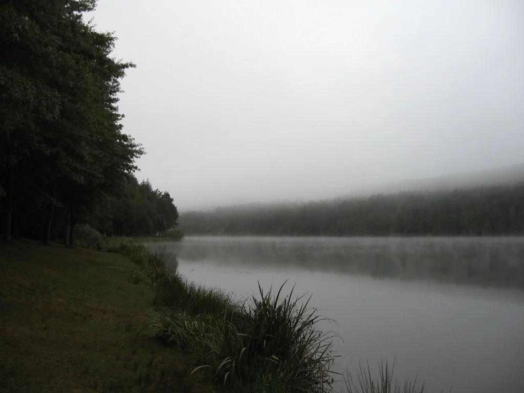 256.JPG
