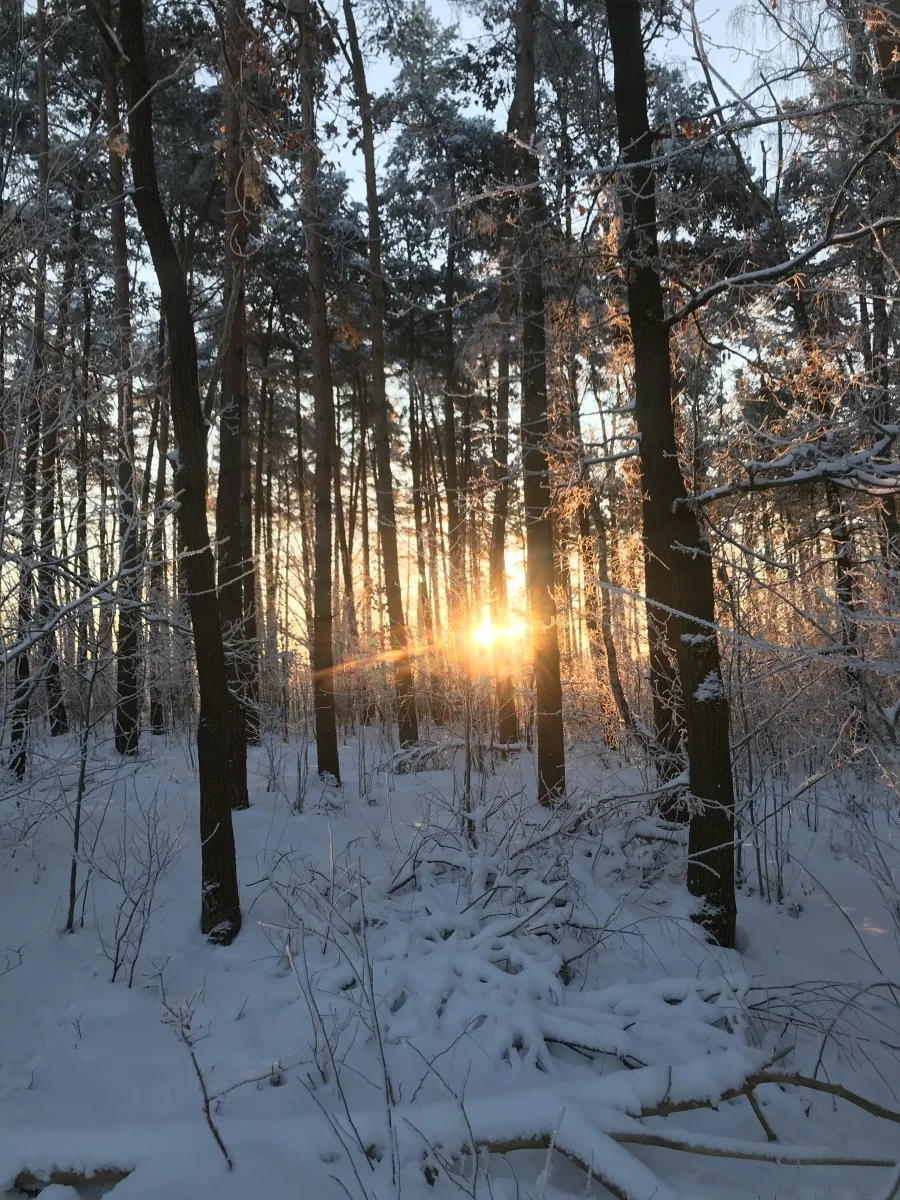 28EAB127-E03D-43B4-B18E-9FC8F0A2D179.jpeg