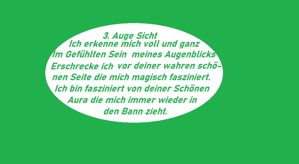 3.Auge