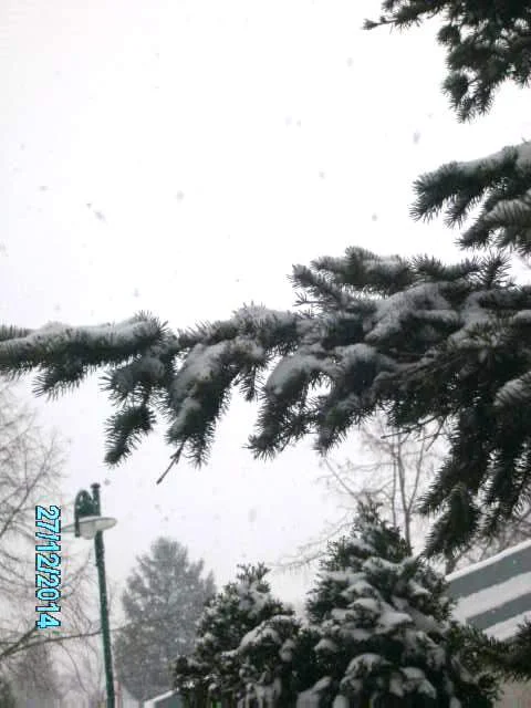 30.Dezember 070.JPG