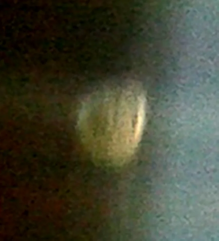 344.jpg