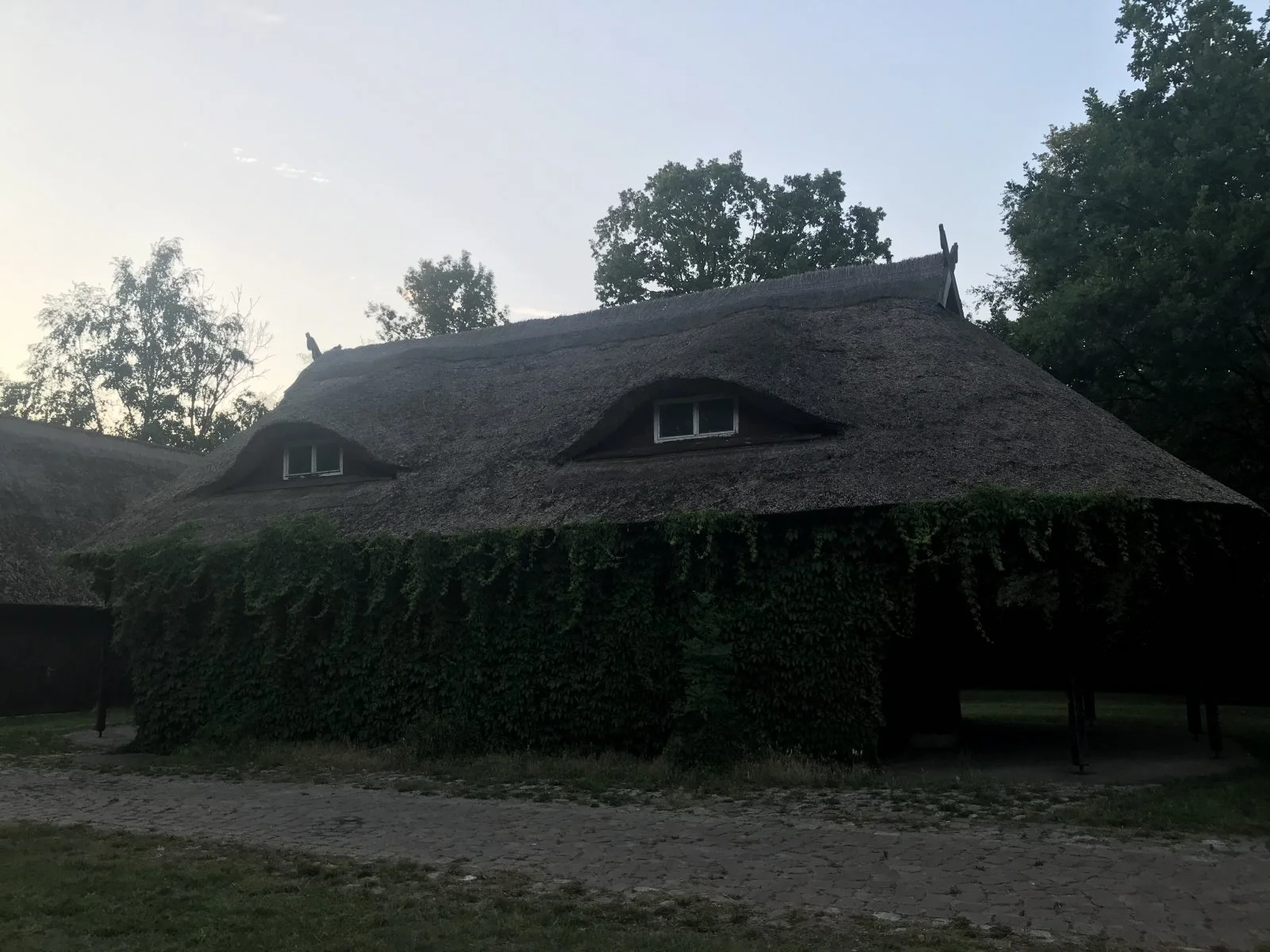 36447934-04BF-4389-9601-BBB524A7134A.jpeg