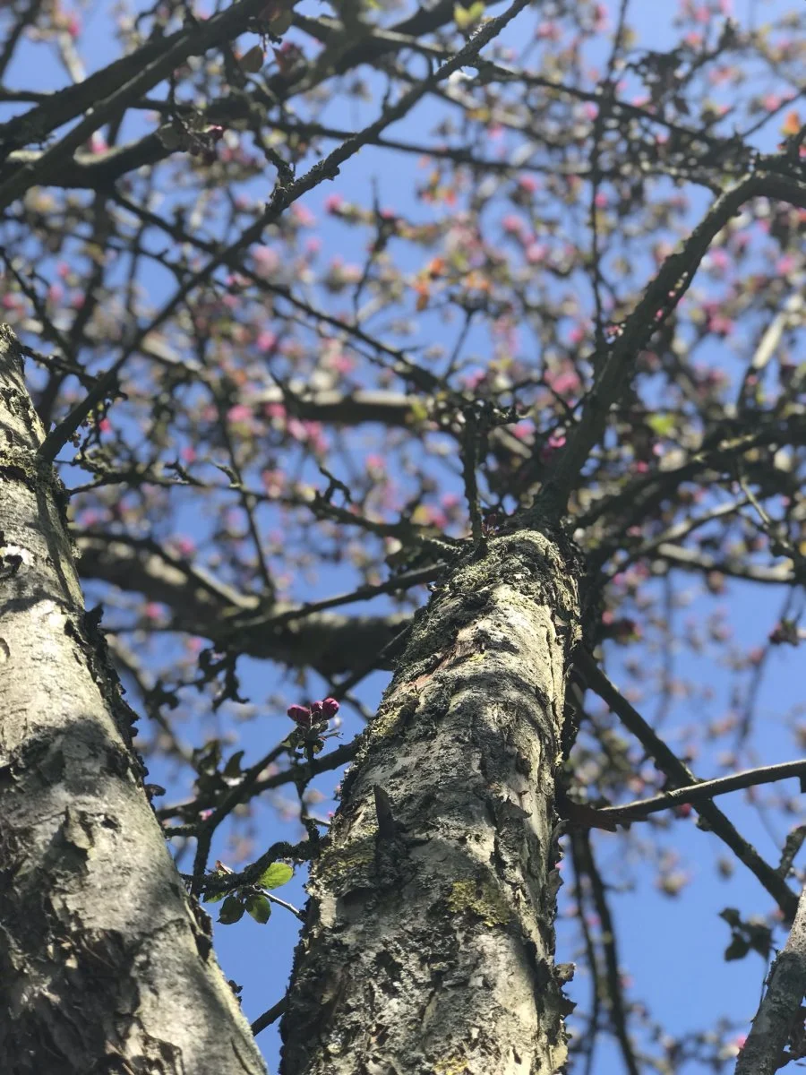 4041803A-18C8-4AB8-9E22-DAF4DF3393AF.jpeg