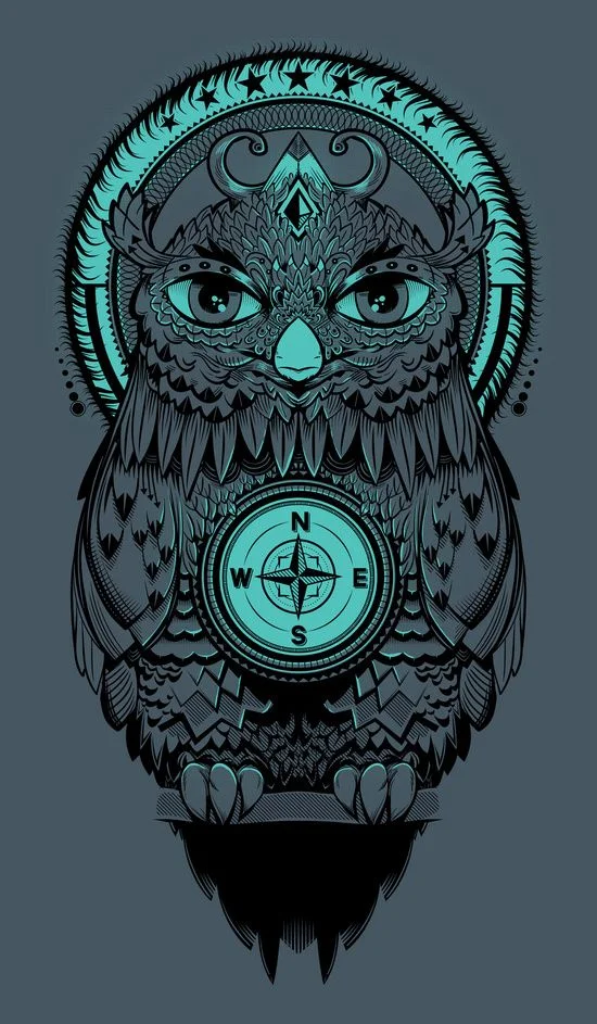 5edc629fd402d404e2d88d5d33a7037f--owls