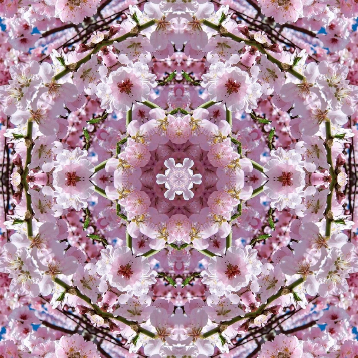 64278_mirror2.jpg
