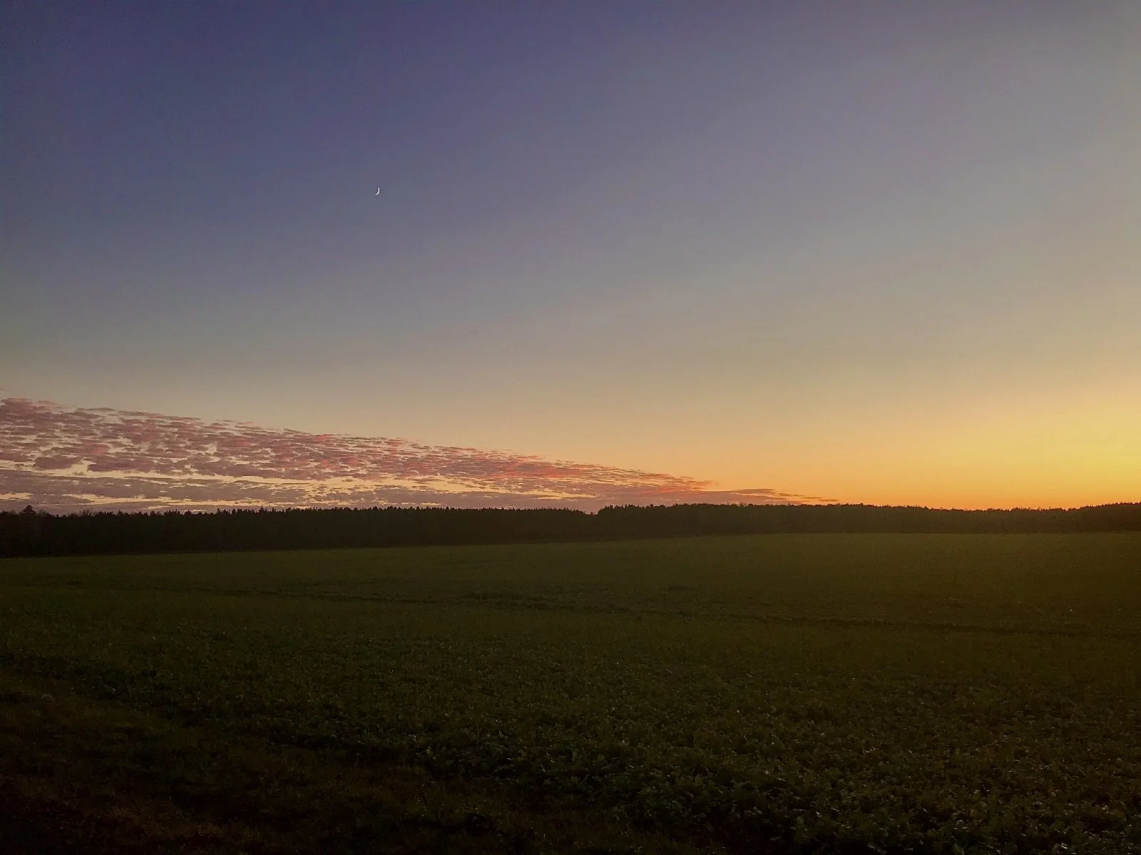 69E371B4-9C74-4479-B6B5-56900D20D4F3.jpeg