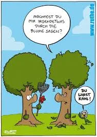 7 du wirst kahl.jpg