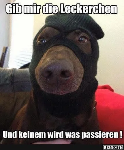 7 K9 Hund.jpg