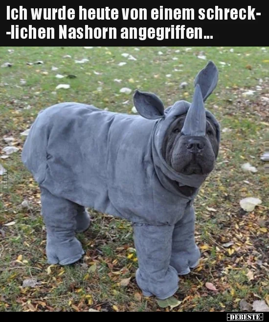 7 Nashorn.jpg