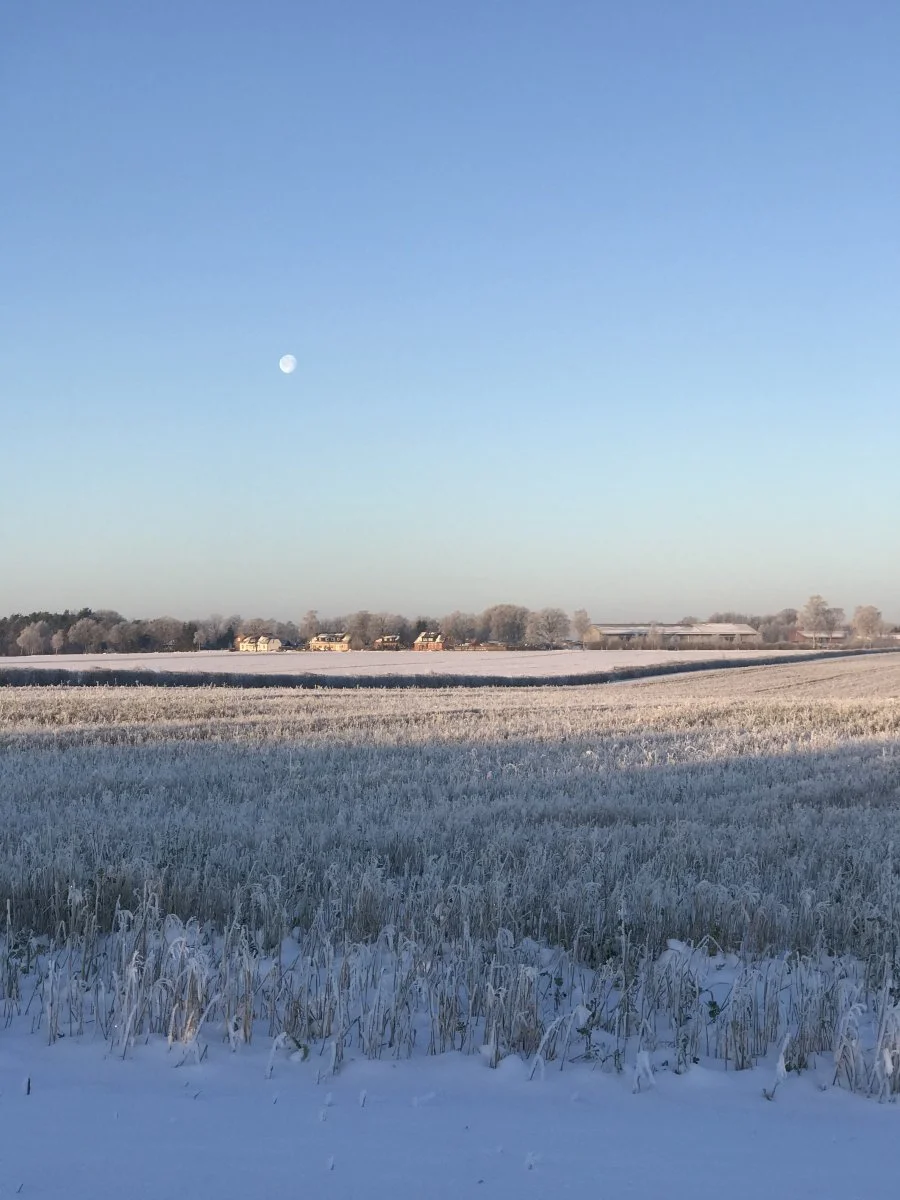 815091F1-F34A-4A32-B356-0B726B6E1CA2.jpeg