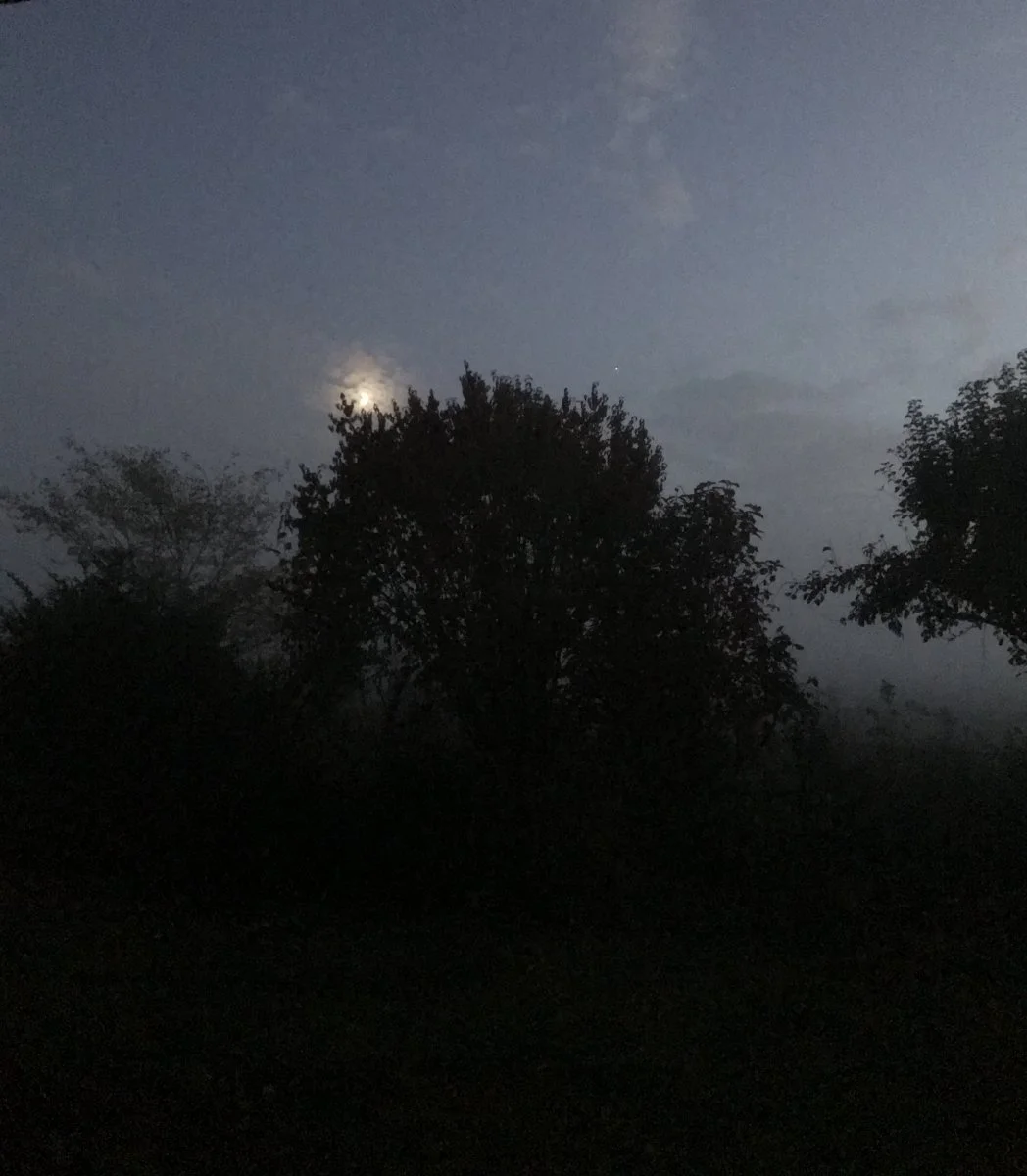 8155E63B-C10C-4060-9019-B8A8C0F8B377.jpeg
