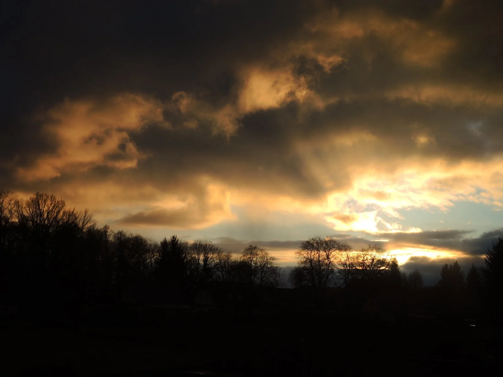 818F8C0E-DEBE-49F9-963F-64D6381091D3.jpeg