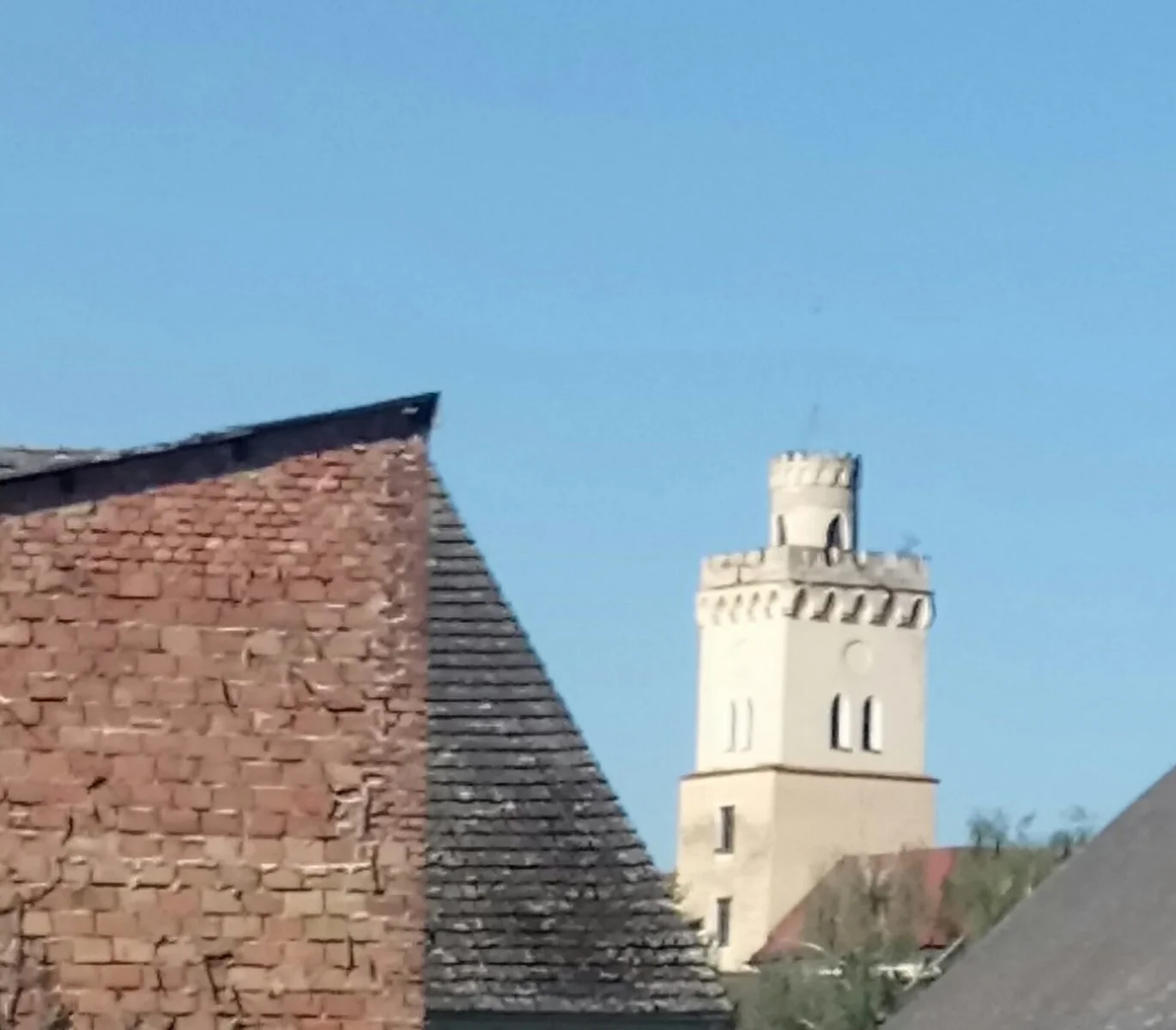 _20200730_093728.JPG