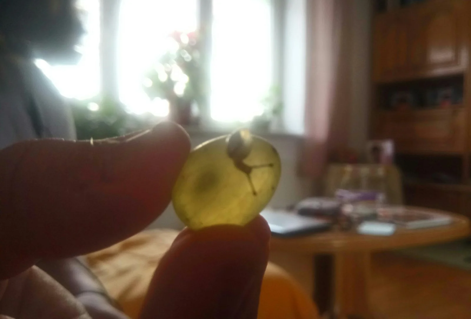 _20200919_120303.JPG