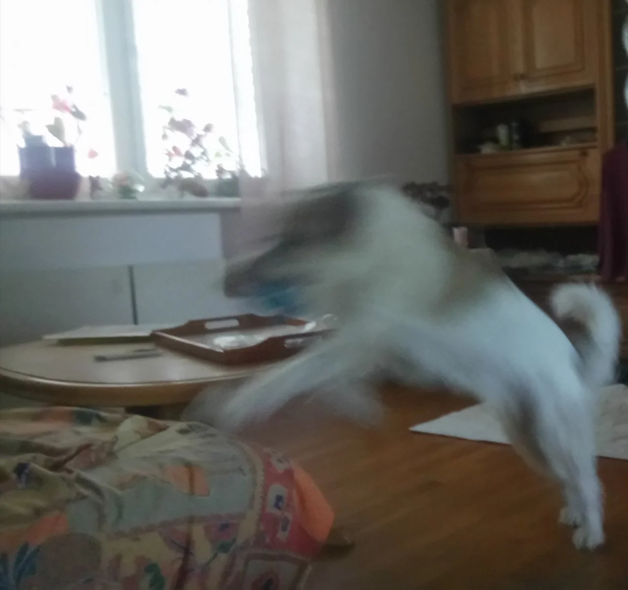 _20210720_122529.JPG
