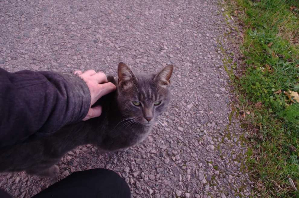 _IMGP0291k.webp