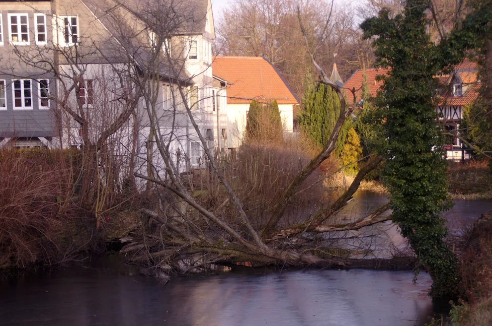 _IMGP1157k.webp