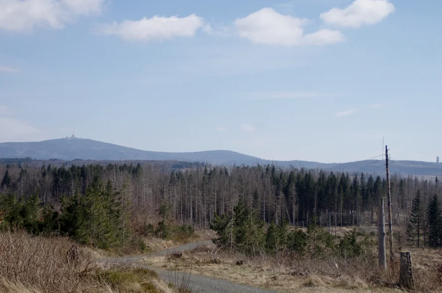 _IMGP2223k.webp