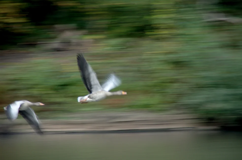 _IMGP5567k.webp
