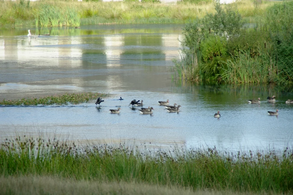 _IMGP6967k.webp
