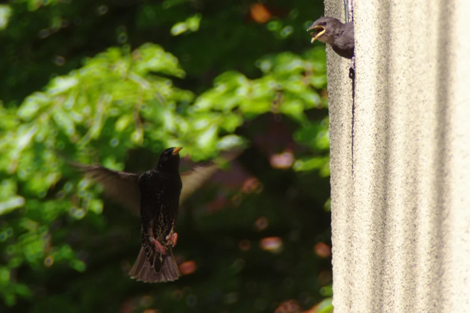 _IMGP8322k.webp