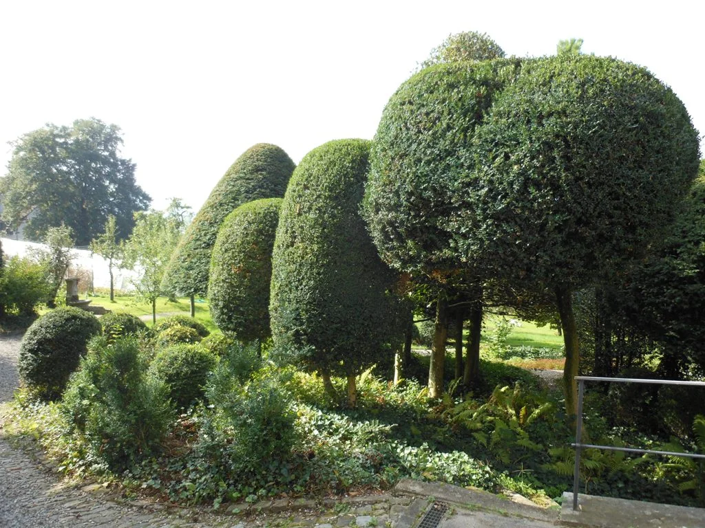 A0043R.JPG