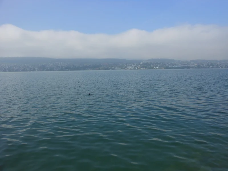 A0058Res.JPG