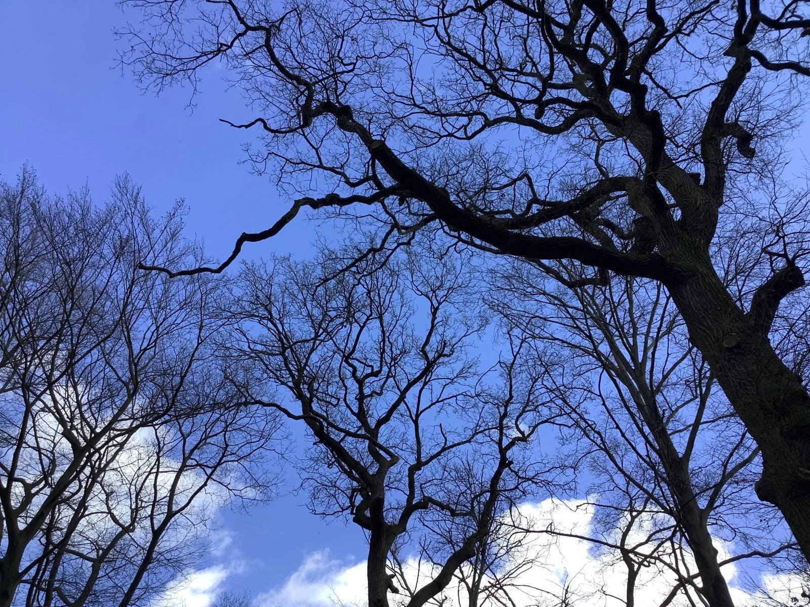 A158C130-998C-48A6-9629-38788270787A.jpeg