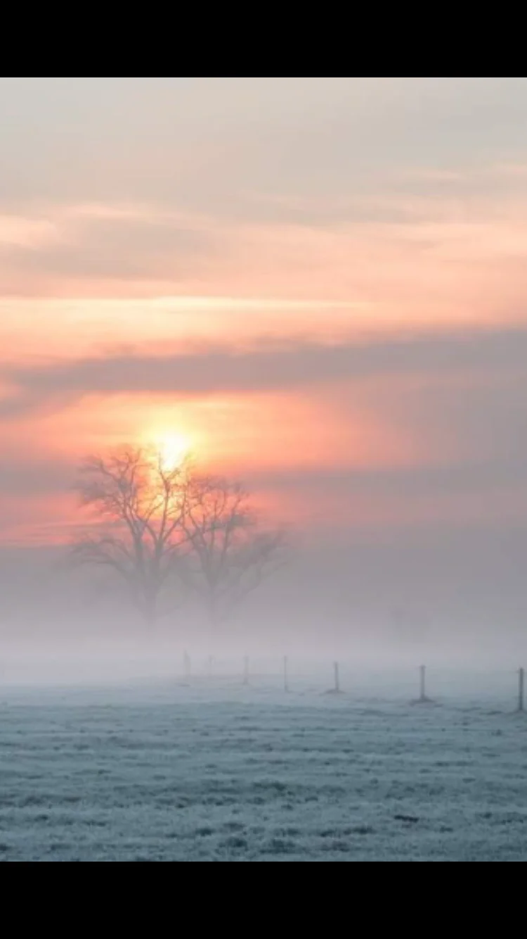 A4981927-049D-4684-BD07-E45B58D22C74.png