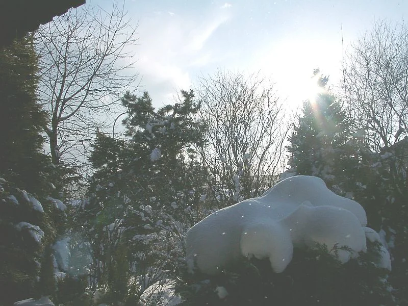 Abendsonne im Schnee