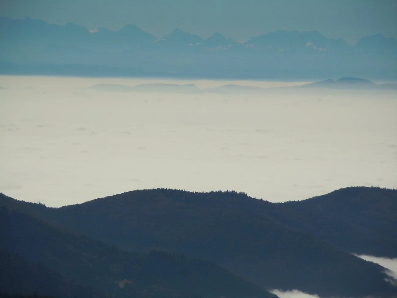 alpen2.jpg