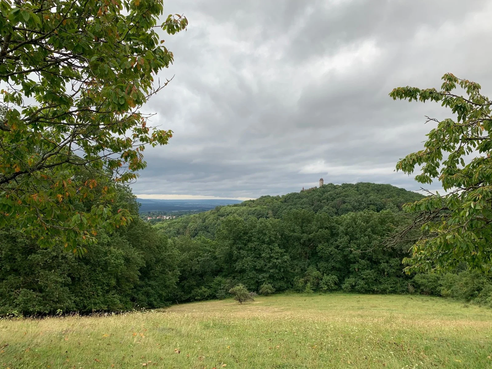 altenburg aus der ferne.jpg
