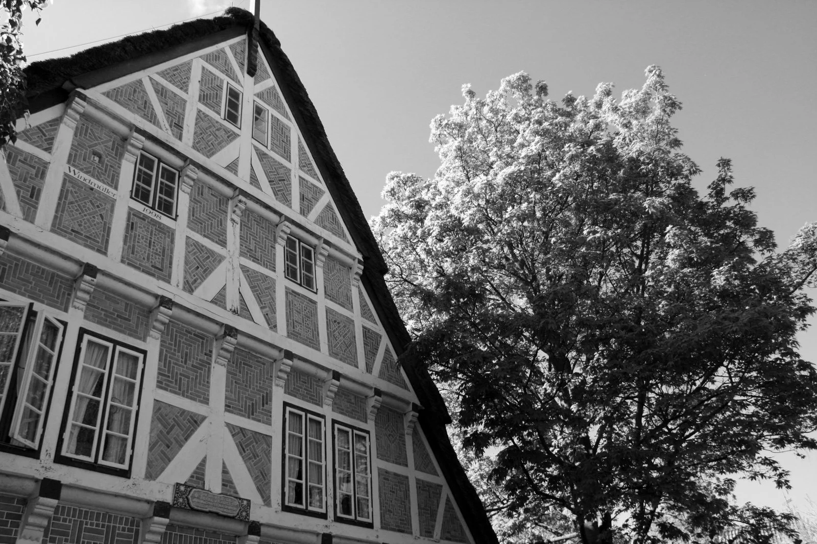 Altes Land 2.5.2010 033 (2).jpg