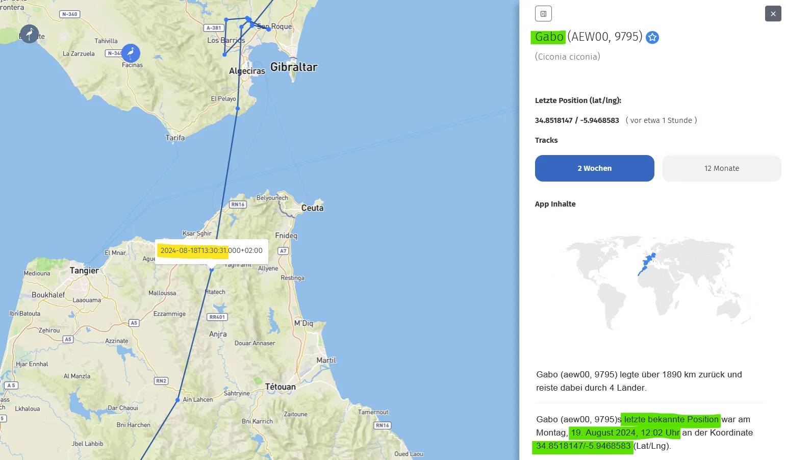 AnimalTracker_Gabo_18Aug2024-12Uhr30_von-Algeciras-bzw-Gibraltar-nach-Afrika.webp